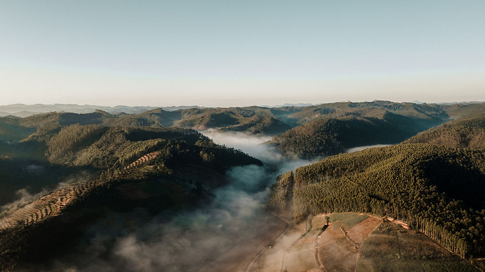 DJI_0139.jpg