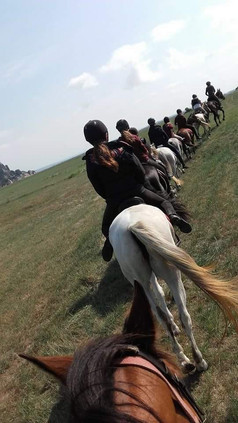veronique_les_equi_libres