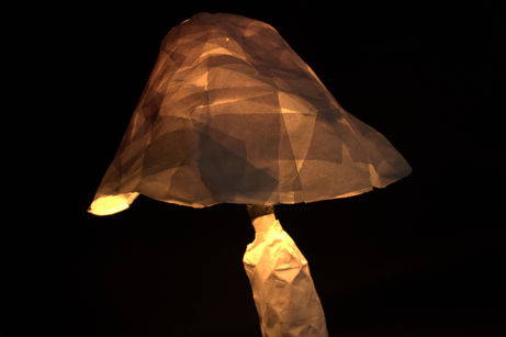 04-22-RZ-Mushroomlamps-94-94.dng