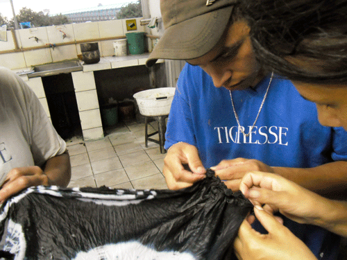 tigresse2
