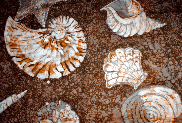 Batik Javanês