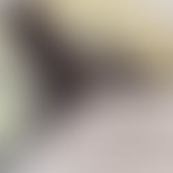 Mehr Afroz: Fifty Years of Visual Inquiry