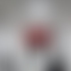 Seen & Unseen: A Review