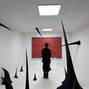 Seen & Unseen: A Review