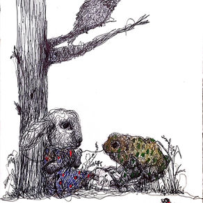 A Lesson from Tiddalick the Frog