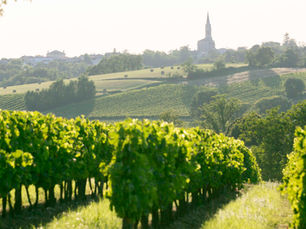 À la découverte de Bordeaux en DOODOO Rent depuis La Rochelle : Un road trip entre océan et vignobles