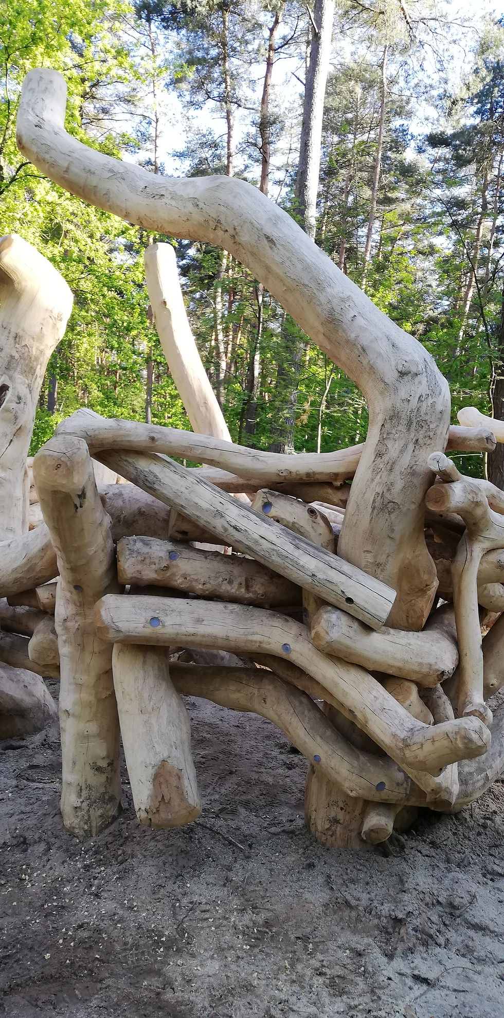 Thumbnail: Het vogelnest robinia