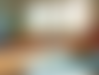 Finding the Best Preschools in Broward County: Quality Preschools Features You Should Know