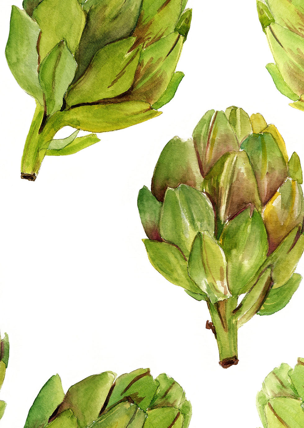 Watercolor Artichoke Print