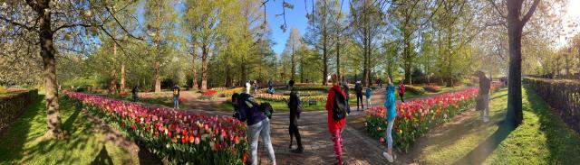 throughout the gardens there are paved, flat paths