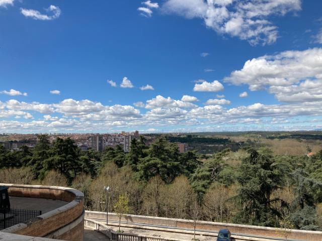 View of the park next to the Palace