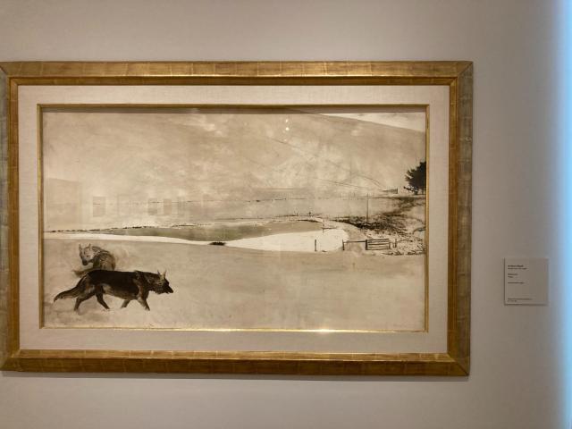 Malamute by Andrew Wyeth (1976)