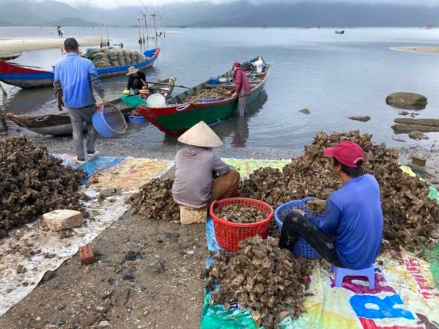 Oyster fisherman on way from Hoi An to Hue
