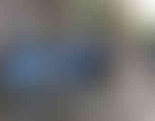 apparently the houseboat Snoop Dog liked to use