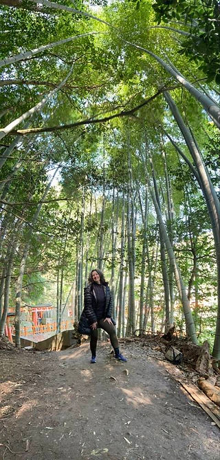 Bamboo forest