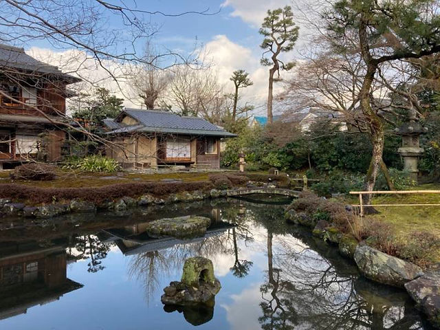 Pond and garden
