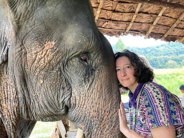 We had several hours alone time with two elephants