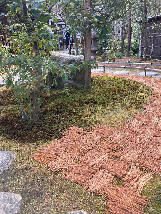 Arranged pine needles
