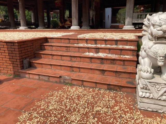 Drying various vegetables on the steps of a pagoda