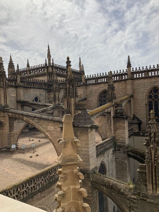 View of Cathedral roof from top of the Giralda