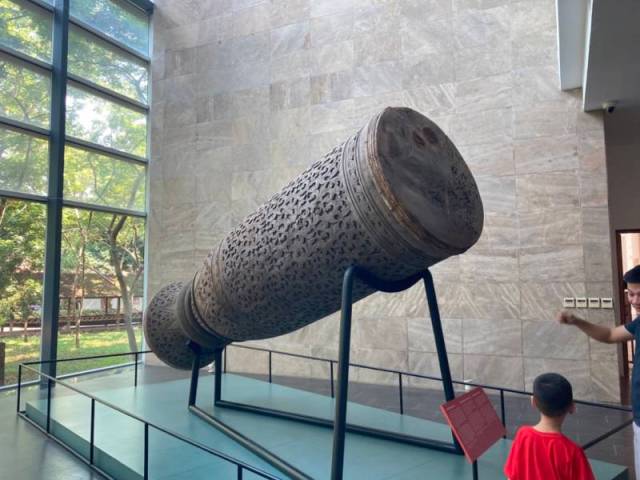 Drum made from a tree