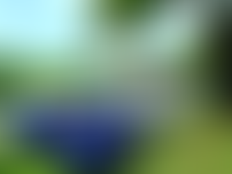 Encontro de Carros Antigos movimenta Ipatinga durante as comemorações dos 62 anos do município