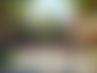 Promovendo Inclusão e Conscientização sobre o Transtorno do Espectro Autista nas Escolas de Ipatinga