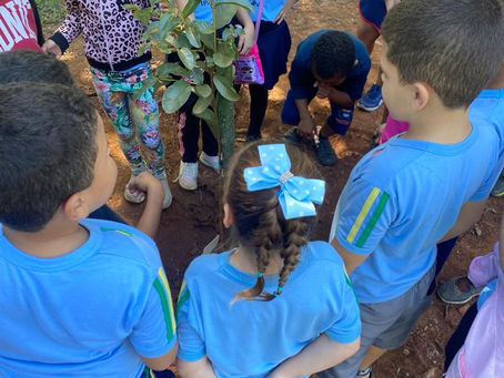 Educação Ambiental: Viveiro Municipal de Ipatinga recebe visitantes