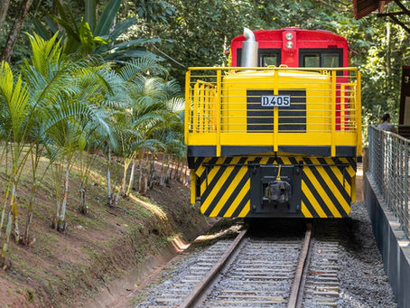 Ipatinga recebe locomotiva em comemoração aos 100 anos da Estação Pedra Mole