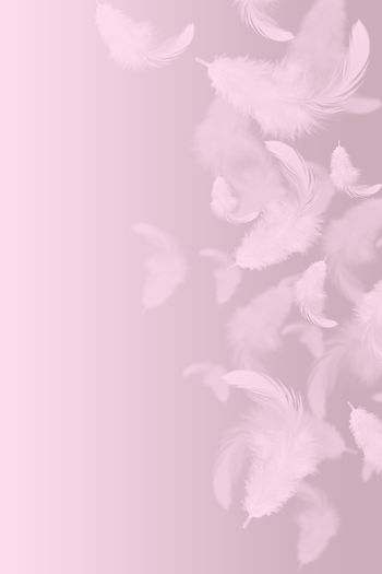 Abstract, soft white feathers falling in the air_edited.jpg