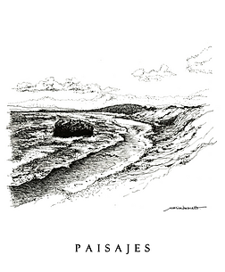 patrimonio