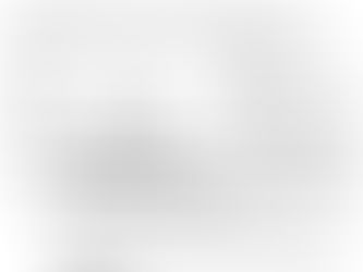 The Challenges of Identifying and Preventing Ponzi Schemes