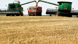 El perfil del “campo” entrerriano:  crecimiento récord, ganancias concentradas y una sola voz para contarlo