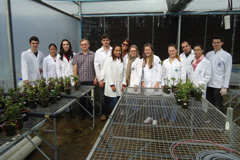 Greenhouse
