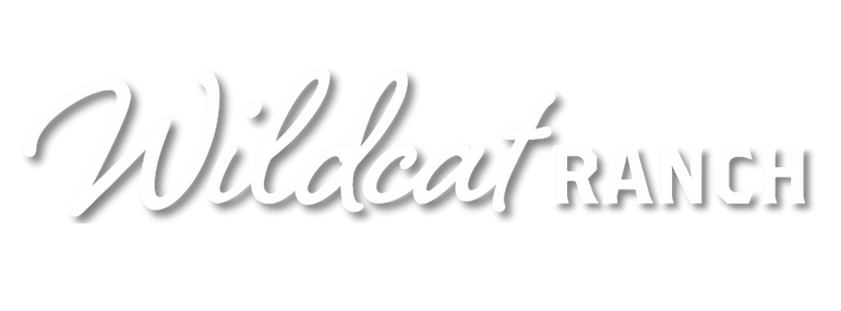 22 Photo Co Cover-2.png