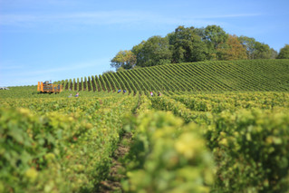 Harvest season begins again