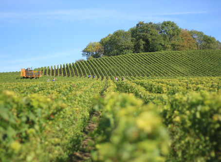 Harvest season begins again