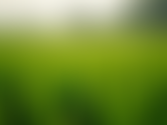 Understanding Regenerative Farming in Eagle Creek: Embracing Sustainable Farming Practices