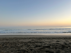 IMG_9036.HEIC