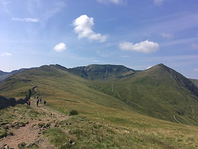 Helvelly shape (BEE-Adventures).JPG