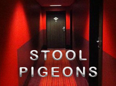 stool_pigeons rectangular copy.jpg