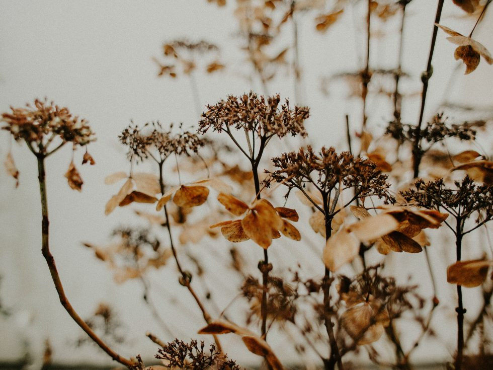 Find clarity in your life and become un-stuck