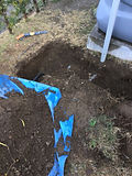 image4.jpeg