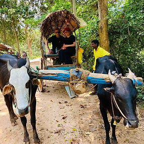 WhatsApp Image 2025-04-21 at 15.09.04.jpeg