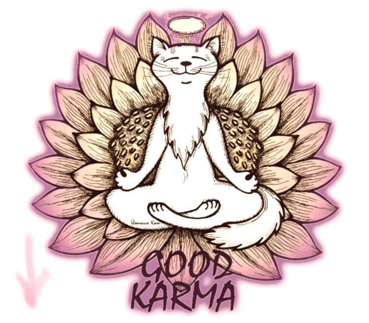 Котик - хорошая карма