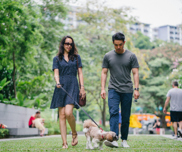Pets help with socializing with others which is a great way to stay connected and reduce depression and isolation