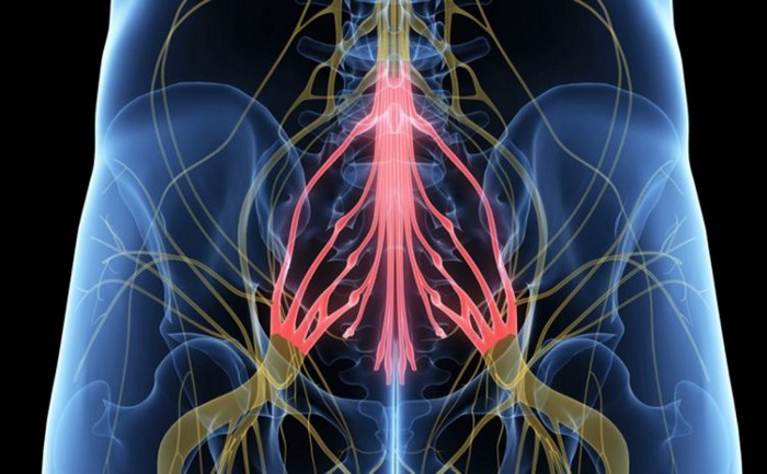 Cauda Equina Syndrome is a medical emergency and requires immediate medical attention.