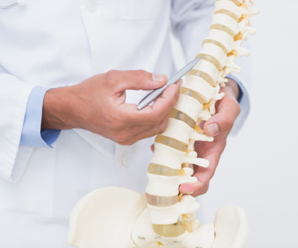 Your spine actually shrinks a little every day.