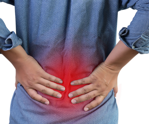 LivaFortis looks at guidelines from the WHO, European guidelines, VA guidelines and AAFP and found that they are all fairly similar in treatment recommendations for chronic low back pain.