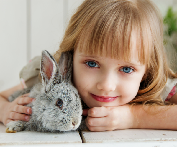 couples who owned a pet had lower blood pressure and heart rates than those who didn’t have a pet.